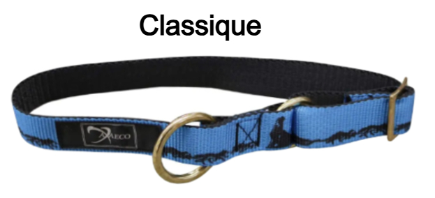 Collier pour chien classique
