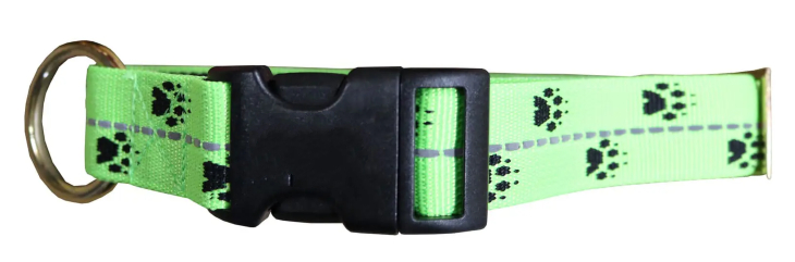 Collier classique pour chien  à fermeture plastique