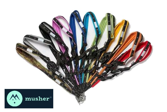Harnais Musher - Canicross - Couleur
