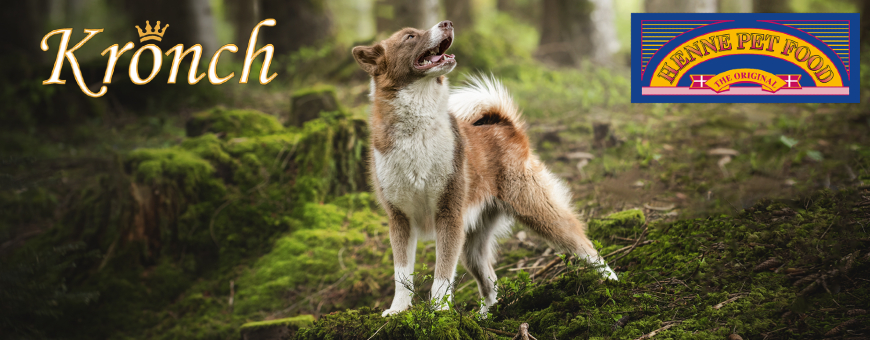 Henne Pet Food - Kronch