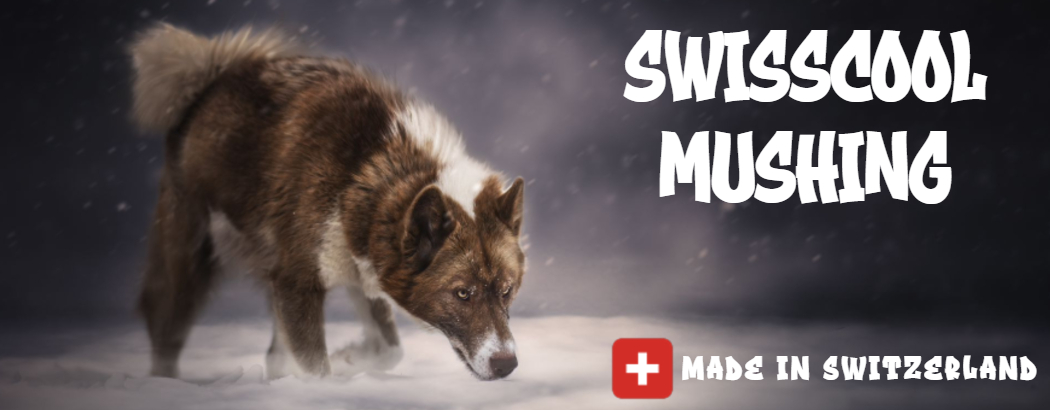 Swisscool Mushing