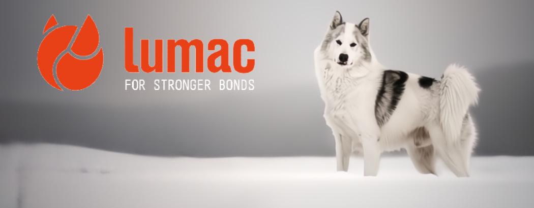 Lumac Sledding - For Stronger Bonds