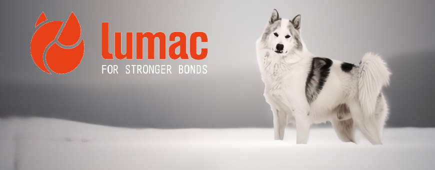 Lumac Sledding - For Stronger Bonds