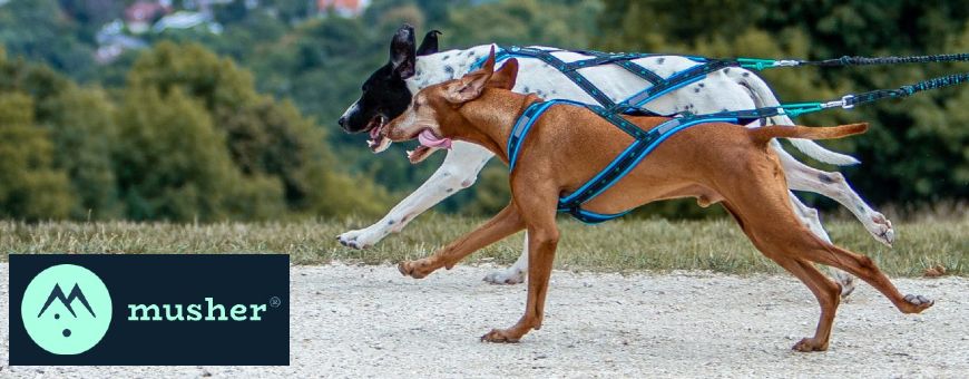 Musher - Equipements pour chiens de sport (loisirs et professionnels)
