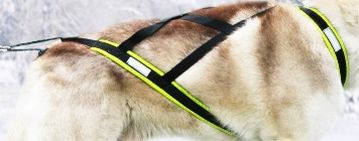 harnais traction x-back - Harnais Northern Howl Swisscool Mushing X-Back classique