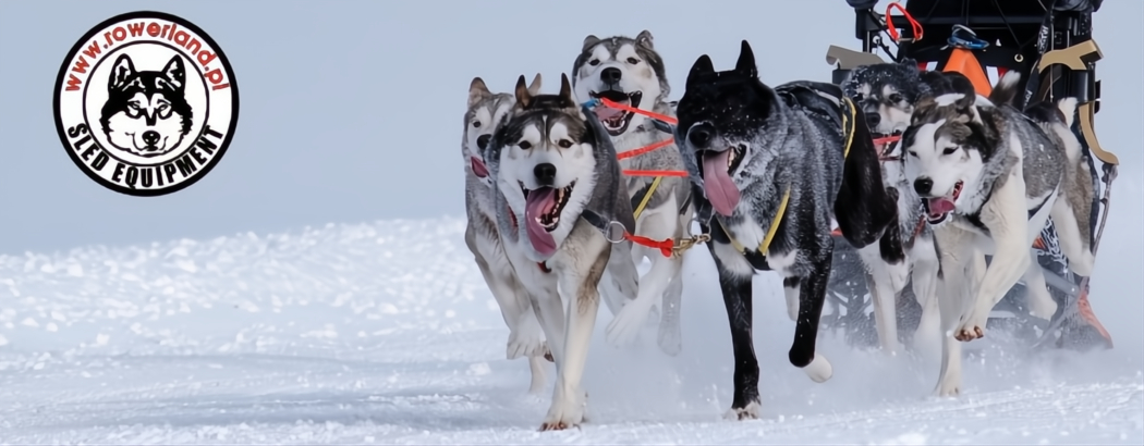 Rowerland Sled Equipment