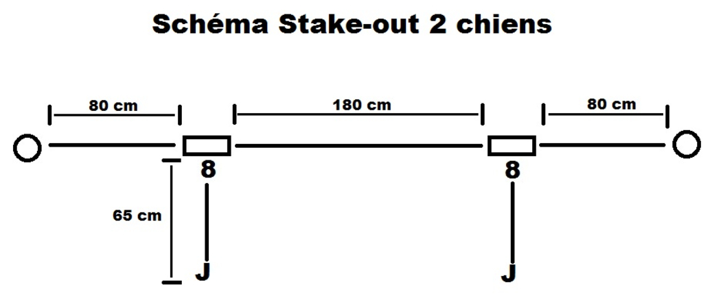 Schéma stake-out 2 chiens