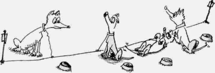 La stake-out pour chien - c'est quoi?
