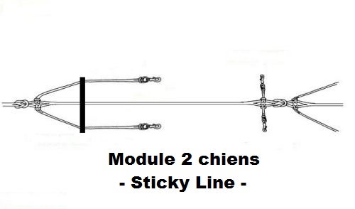 Module 2 chiens - Sticky Line