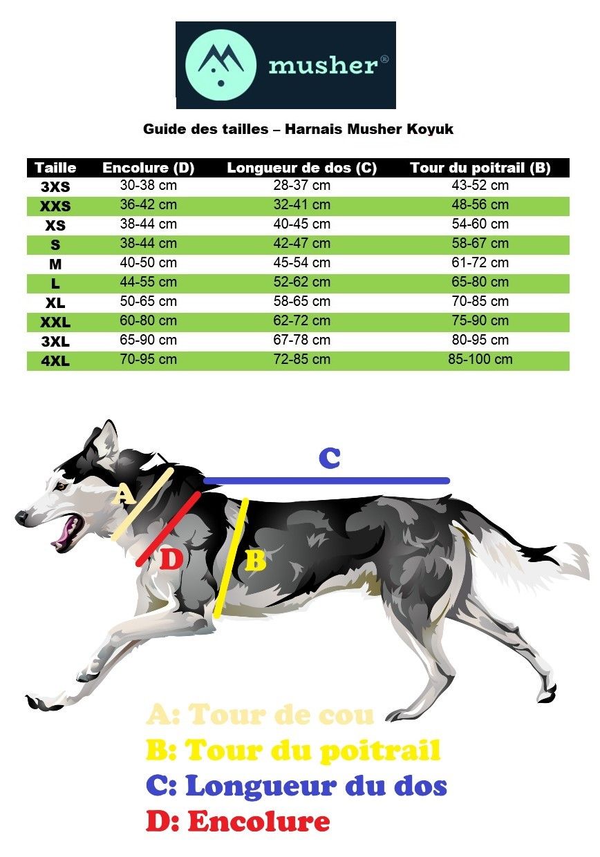 Taille harnais Koyuk de Musher - Harnais traction canicross