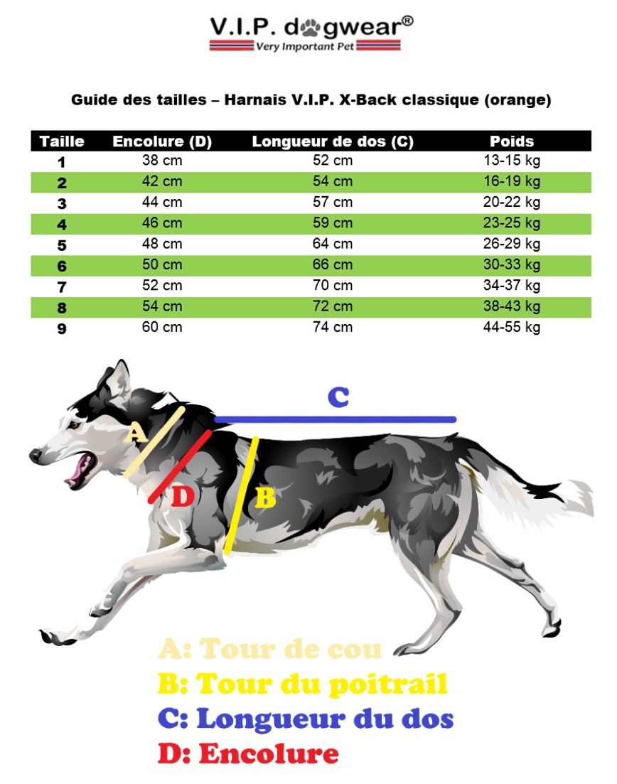 Taille Harnais V.I.P. X-Back classique- Harnais traction mushing