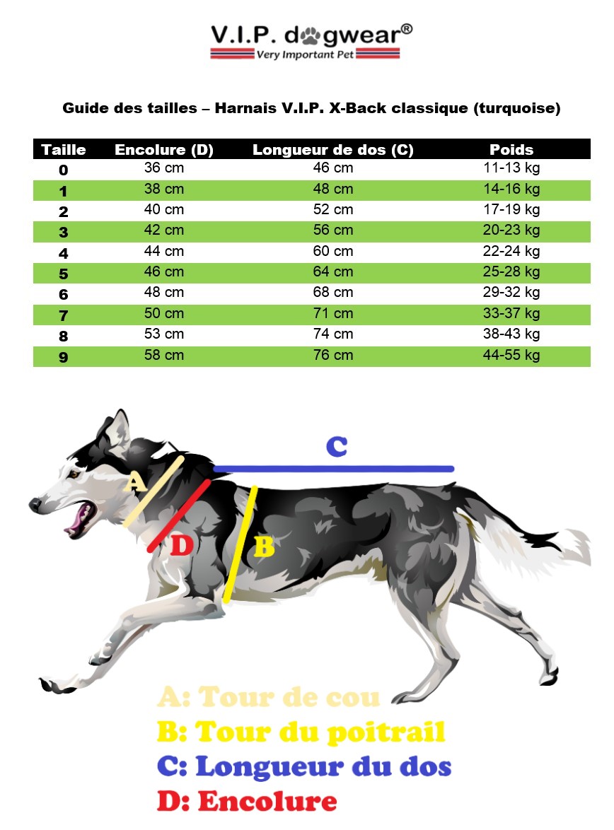 Taille Harnais V.I.P. X-Back classique- Harnais traction mushing