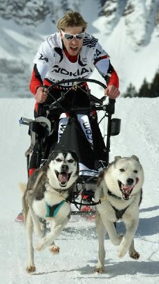 Traineau à chien RSS - RS-Sleds en action - Spyder Sport