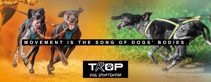 Trop Dog Sportwear - Equipement pour sport canin - traction