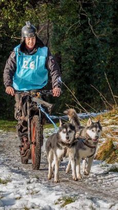 trottinette gravity scooters mushing pro - canitrottinette 1 à 4 chiens - flyer