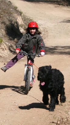 trottinette gravity scooters Pixies pour enfant en action