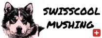Swisscool Mushing